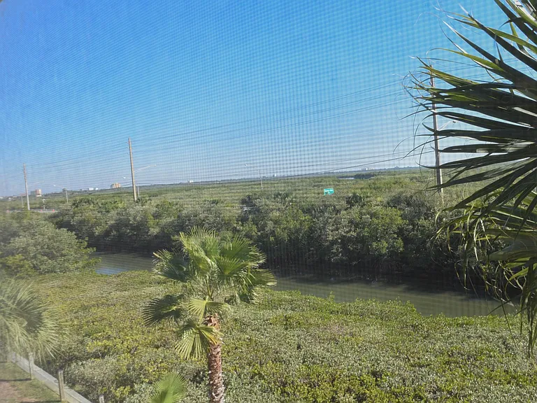 View from Lanai