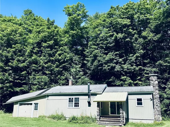 1191 Peakes Brook Rd, Delhi, NY 13753