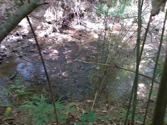 4th image of 1390-C R Rd #248
