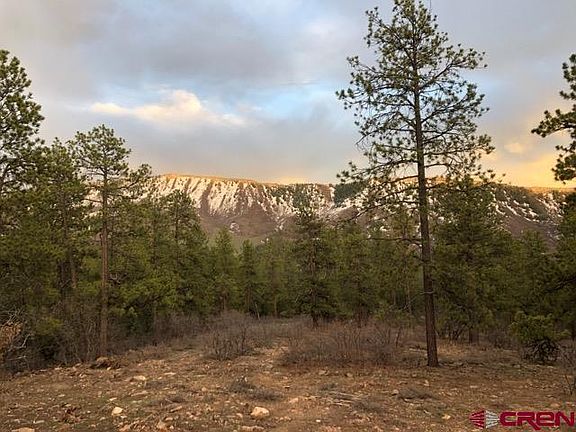 3rd image of 339 Big Bear Trail