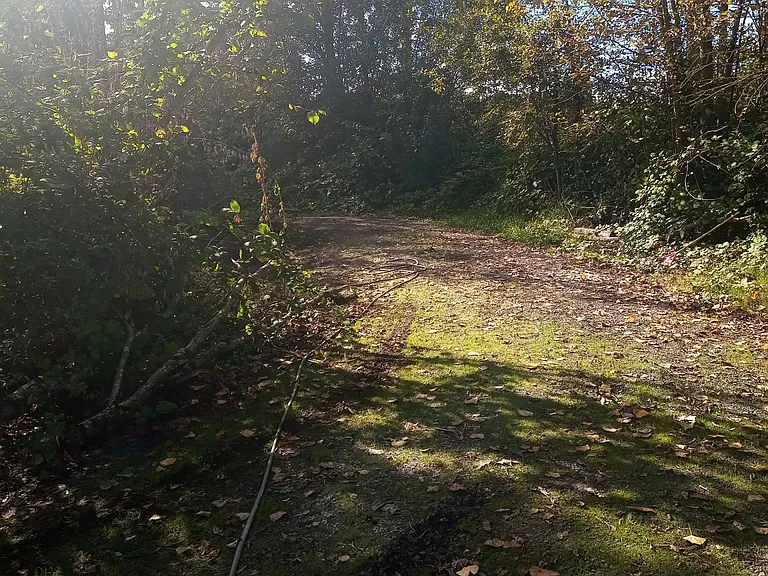 S Monte Cristo Rd — Photo 23