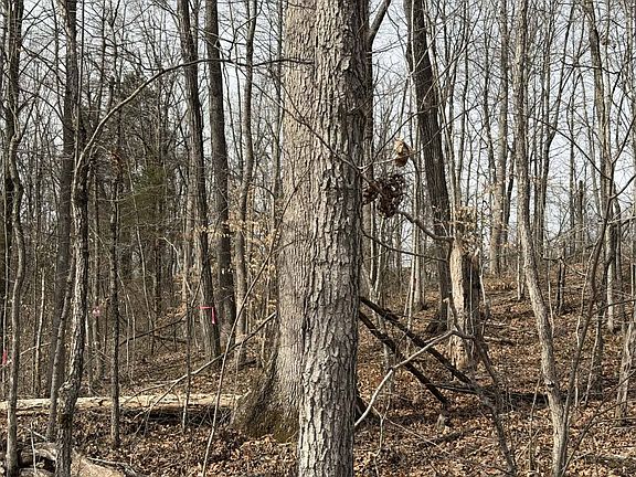 4th image of 4 Malone Ridge Rd