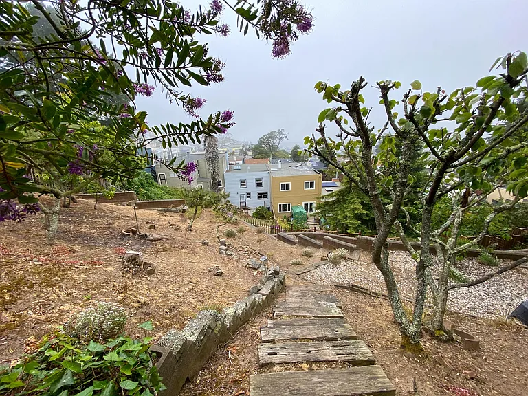 Backyard on a foggy day