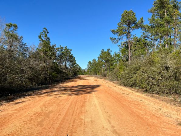Tbd Apalachicola Avenue, Alford, FL 32420