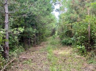 Arlington Dr SW, Bogue Chitto, MS 39629