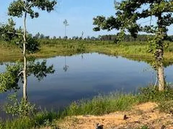0 Wildwood Ln SE, Ruth, MS 39662