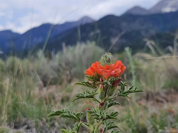 3344 Peaceful Way, Crestone, CO 81131