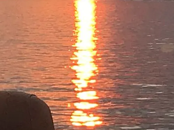 534 Gambrell Rd, Townville, SC 29689