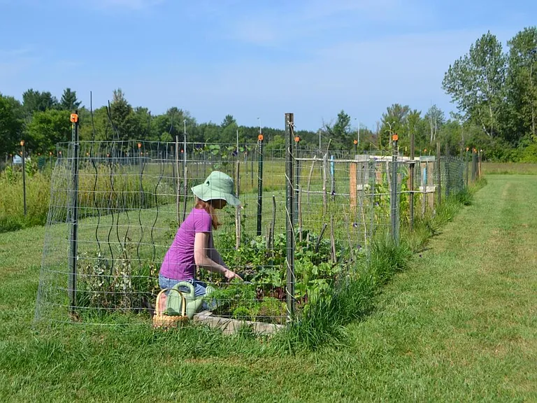 Enjoy gardening? Our garden area is available to all residents.