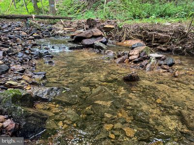 Laurel Dale Rd, New Creek, WV, 26743