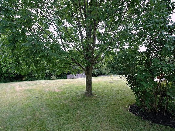 tree lined backyard.