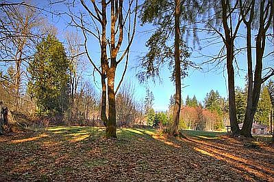 1st image of 18410 87th Ave SE