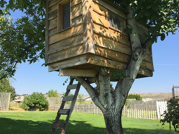 Tree house