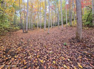 Cara Way, Cosby, TN 37722