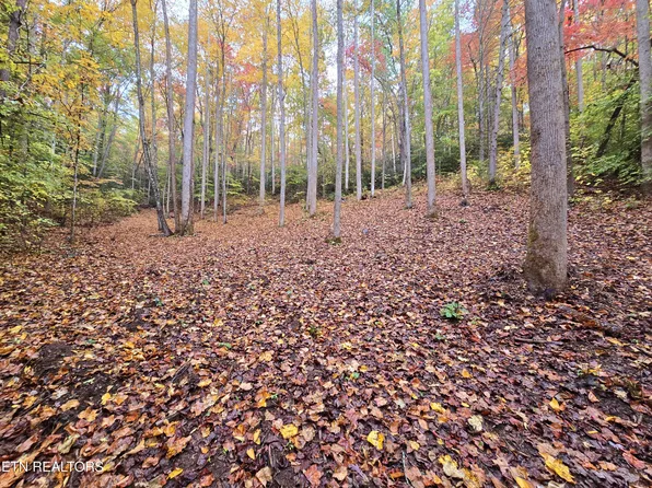 Cara Way, Cosby, TN 37722