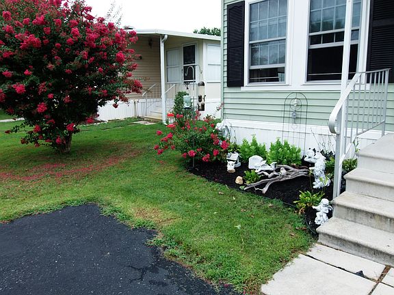 Front garden area