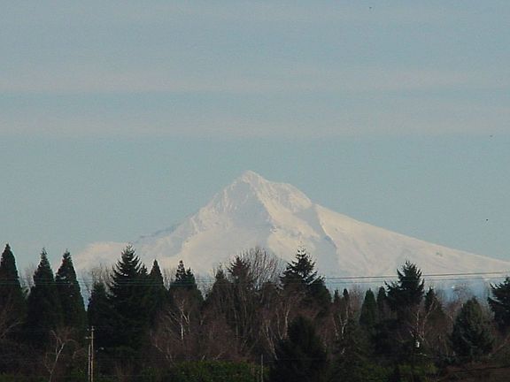 Mount Hood View
