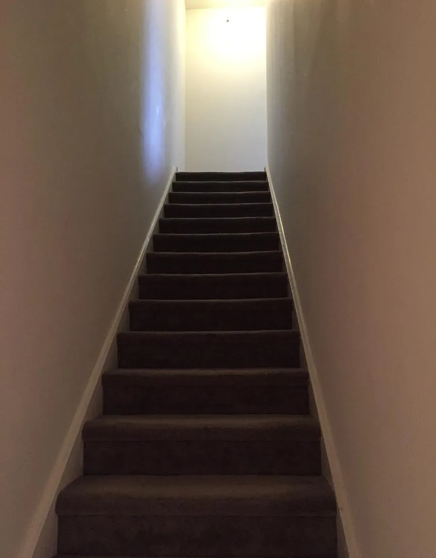 2 bed, 1000 sqft, $1,950 — Photo 4