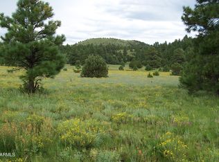 Lot 5 Red Cabin Ranch Unit II -- #5, Vernon, AZ 85940