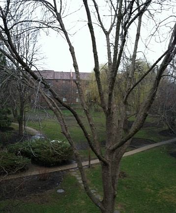 2nd image of 1241 N Winslowe Dr Unit 304