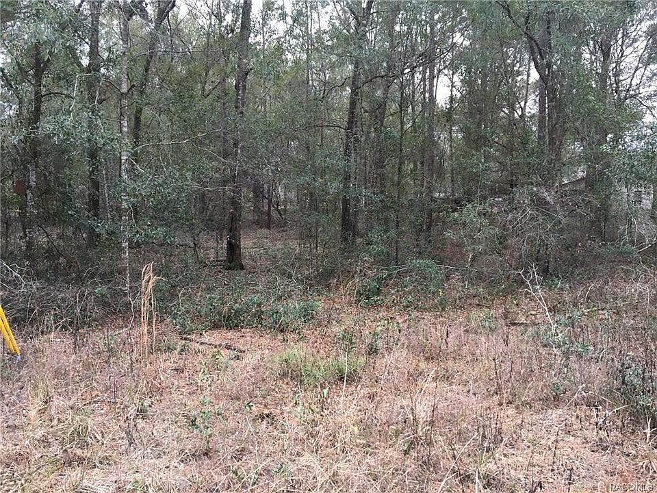 2nd image of 9775 S Evans Point