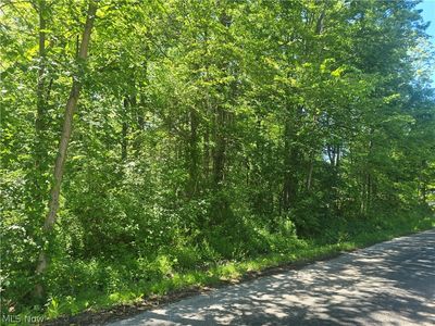 Shadyside Ave, Ashtabula, OH, 44004