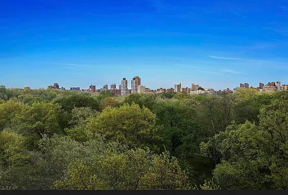 Rented by Corcoran | media 7