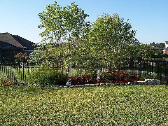 Back Garden