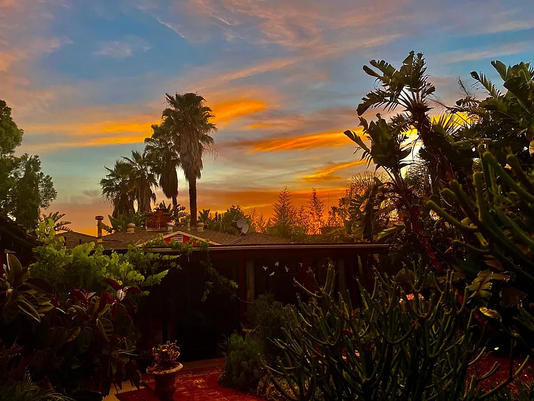 View from back yard