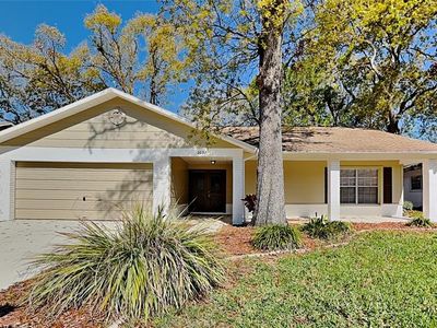 2607 Royal Ridge Dr, Spring Hill, FL, 34606