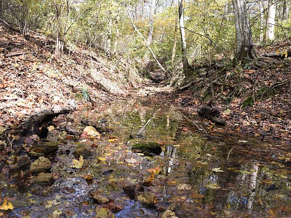 Multiple water sources.