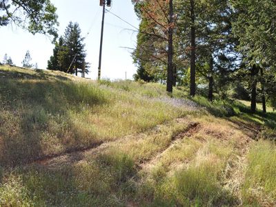 3190 Magic Morgan Trl, Cool, CA, 95614