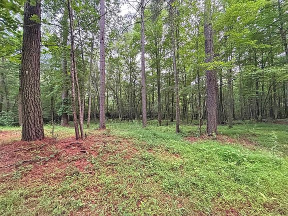 5th image of 20AC Yonder Way