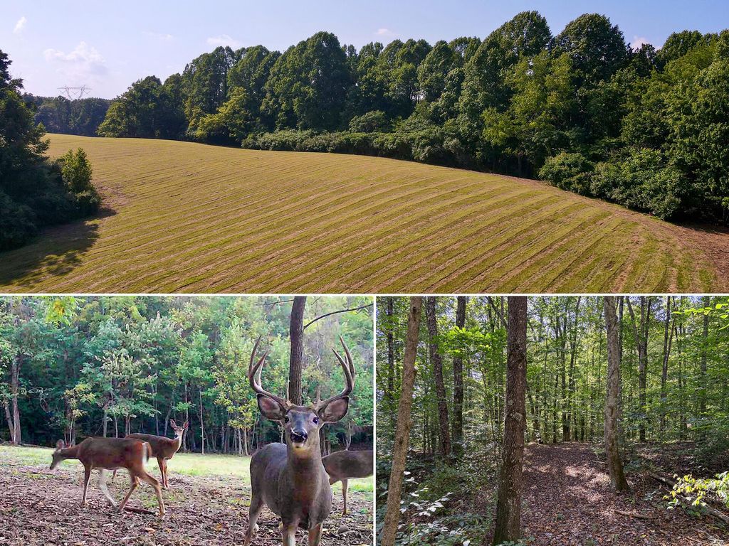 Real estate listing image