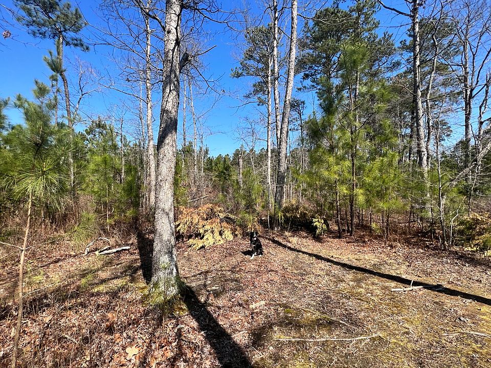 2nd image of 6900 Cogbill Rd