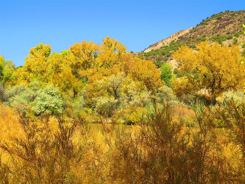 38 Private Rd 1548, Espanola, NM 87532 Zillow