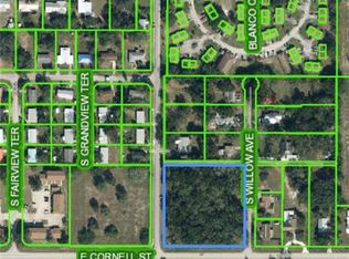 601 E Cornell St, Avon Park, FL 33825