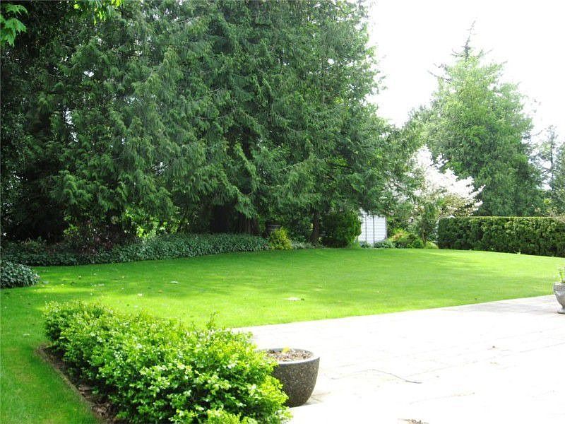 Huge backyard