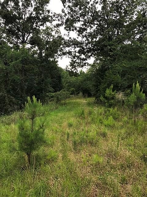 2nd image of 7461 Lakeside Dr