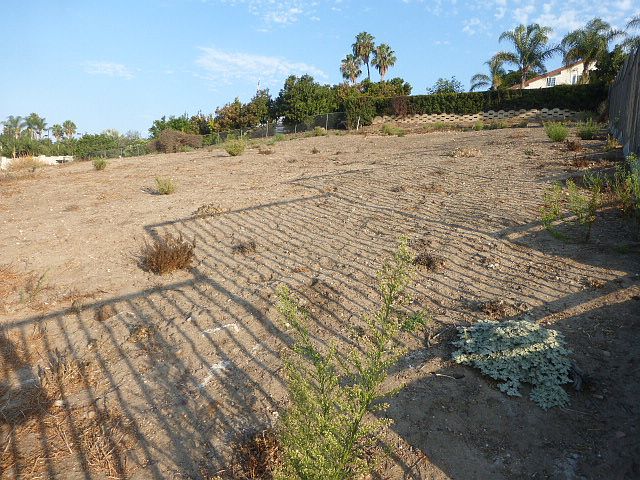 2nd image of Terra Bella Ln