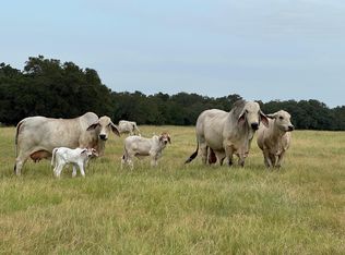 10080 Fm 682, Yoakum, TX 77995