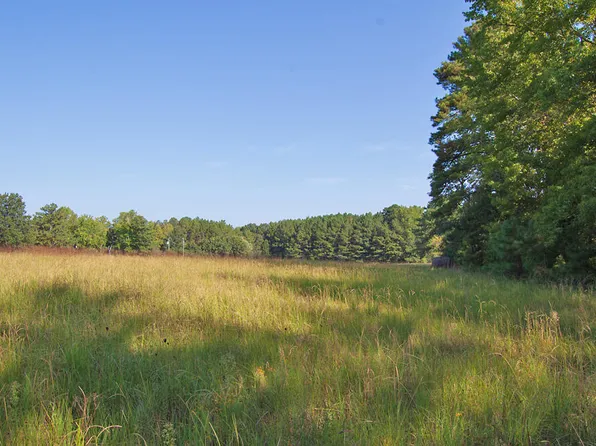 1738 Laurel Mill Centerville Rd Lot 4A, Louisburg, NC 27549