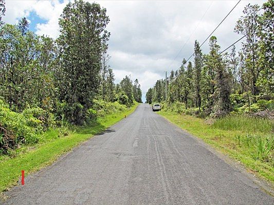 2nd image of Hibiscus St Lot 7299
