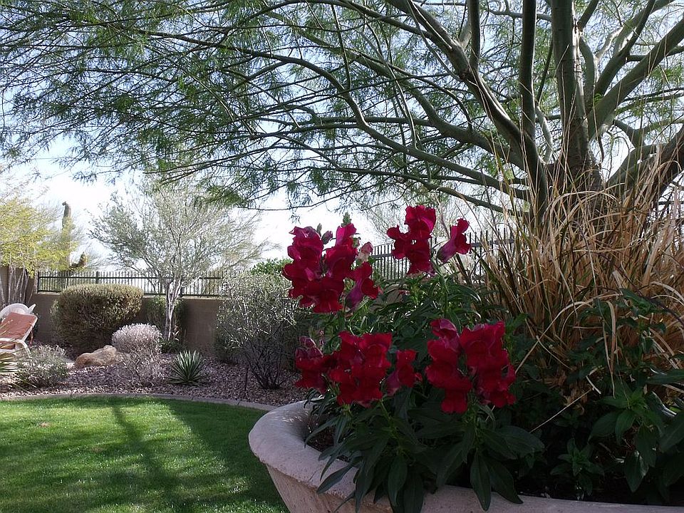 1st image of 2731 W Steinbeck Ct