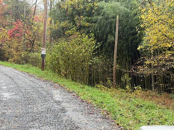 2nd image of 000 Punkton Rd