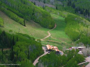 11101-117 County Road 6b, Glenwood Springs, CO 81601