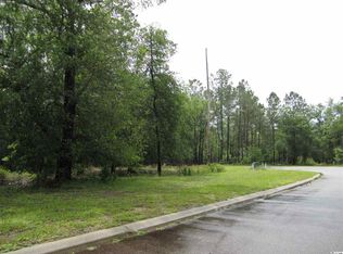 349 Cypress Flat Ct, Conway, SC 29526