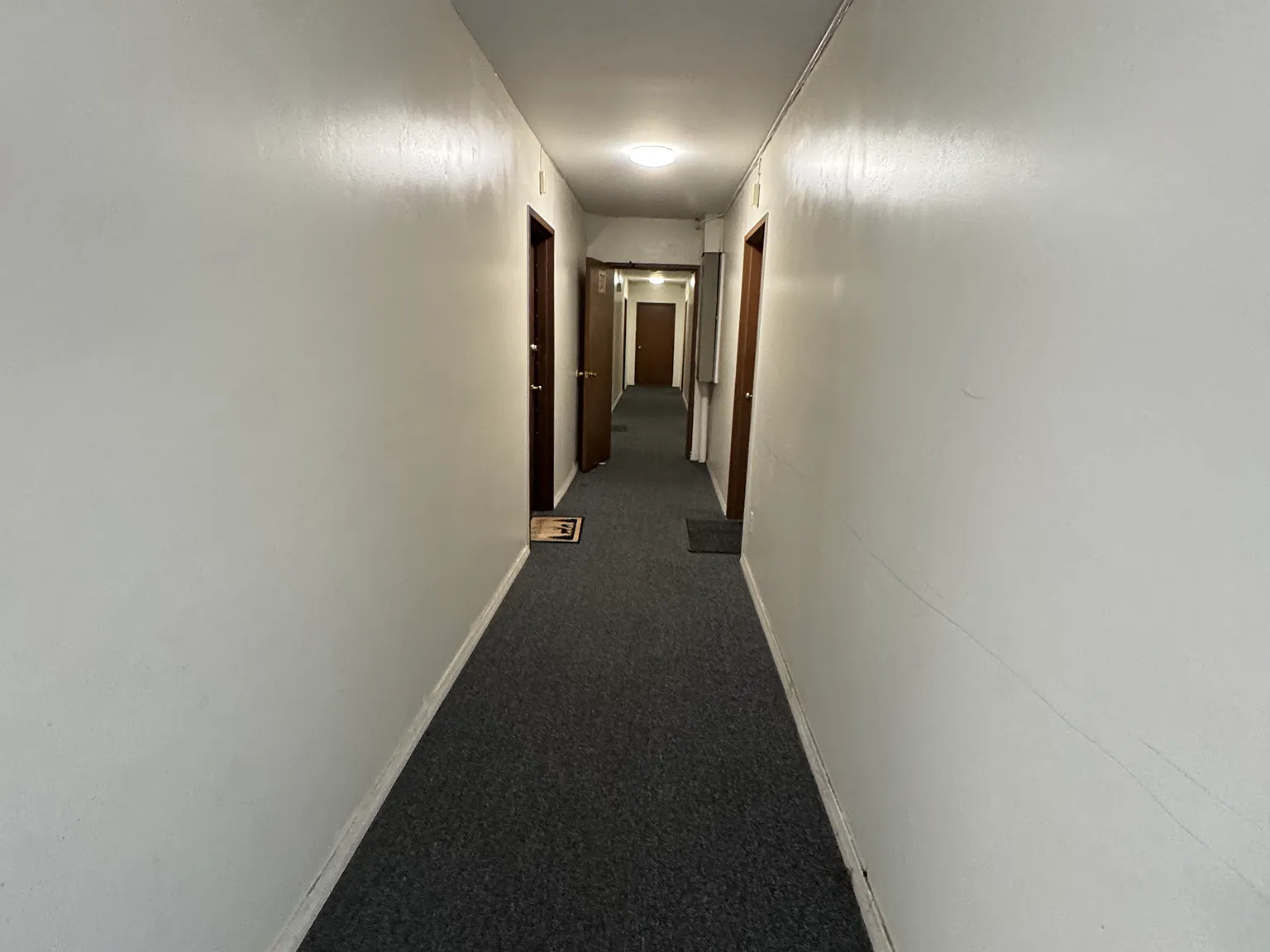 Studio, 450 sqft, $1,349 — Photo 4