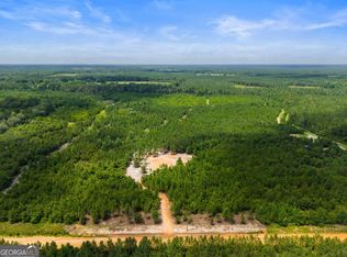 381 Findley Cemetery Rd, Lyons, GA 30436