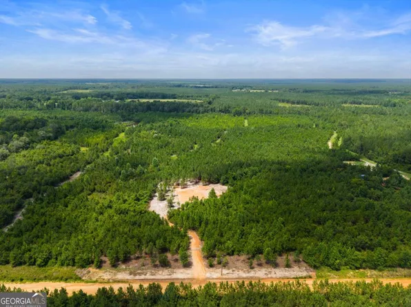 381 Findley Cemetery Rd, Lyons, GA 30436